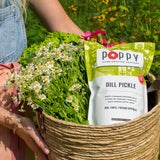 Poppy Hand-Crafted Popcorn Dill Pickle