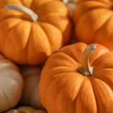 Pumpkin Picking Pura Fragrance Refill