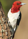Paint by Sticker (Official): Birds
