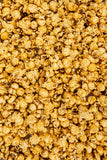 Poppy Hand-Crafted Popcorn Backyard Cookout