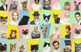 Do You Look Like Your Cat?
Match Cats with their Humans: A Memory Game