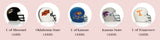 Nora Fleming University of Kansas Mini