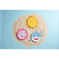 Character Flying Disc