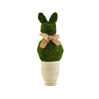 Preserved  Bunny Pot