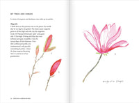Creating a Garden Retreat
An Artist’s Guide to Planting an Outdoor Sanctuary