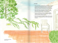Creating a Garden Retreat
An Artist’s Guide to Planting an Outdoor Sanctuary