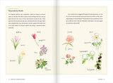 Creating a Garden Retreat
An Artist’s Guide to Planting an Outdoor Sanctuary