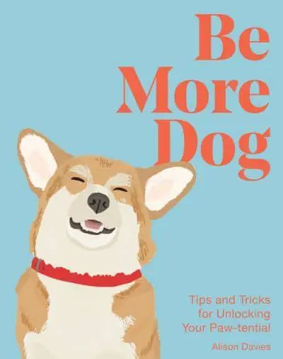 Be More Dog - Tips and Tricks for Unlocking Your Paw-tential
