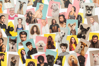 Do You Look Like Your Dog? : Match Dogs with Their Humans: A Memory Game