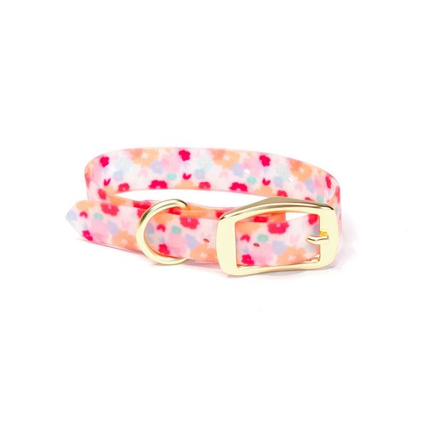 Mary Square Scattered Flowers Dog Collar