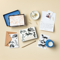 DOG-THEMED CARDS
12 Note Cards for Appreciation & Friendship