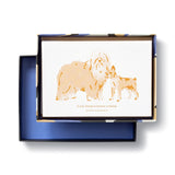 DOG-THEMED CARDS
12 Note Cards for Appreciation & Friendship