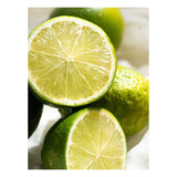 Fresh Bergamot Pura Fragrance Refill