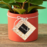 Believe - Thoughtfulls Pop-open Cards