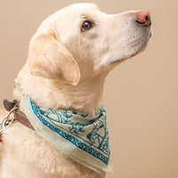 Bandana - Jackalope