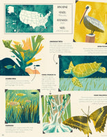 National Parks of the USA