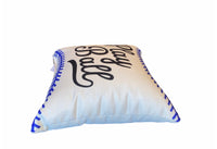 Blue Play Ball Pillow