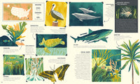 National Parks of The USA Activity Book