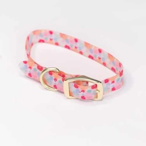 Dog Collar Pretty Paisley