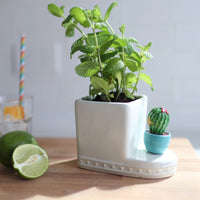 Nora Fleming Can’t Touch This Mini (Cactus)