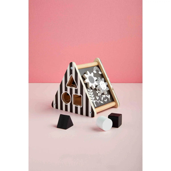 Triangle Shape Sorter