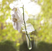 Wall Flowers Vase